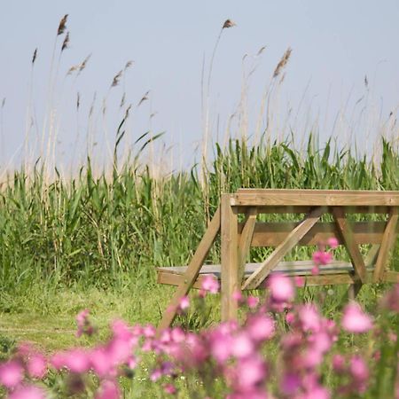 De Tijnjehoeve Boornzwaag over de Wielen Eksteriør bilde